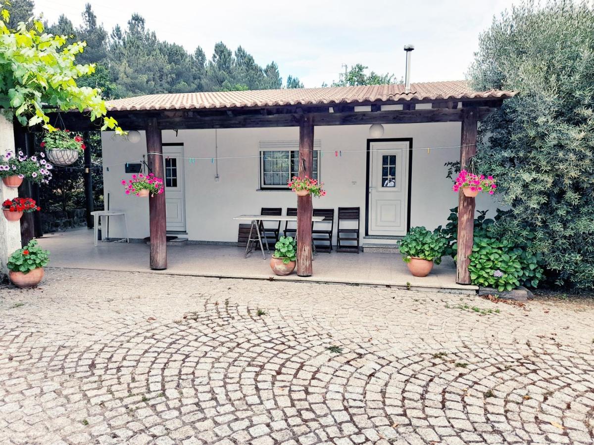 Casa Das Aveleiras - Satao Vila de Igreja エクステリア 写真